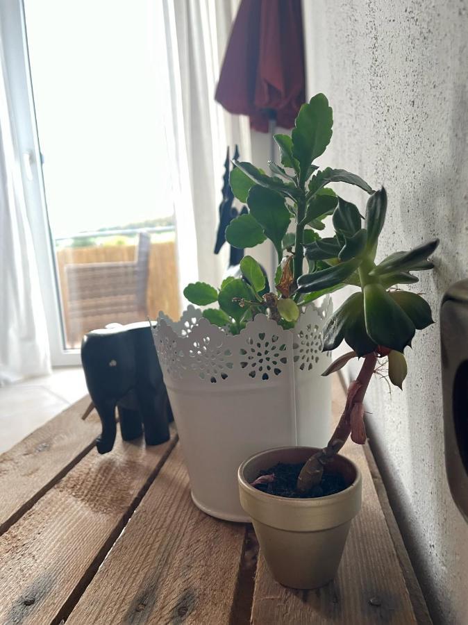 Schoene Wohnung In Ruhiger Laendlicher Lage Heidenheim  Esterno foto